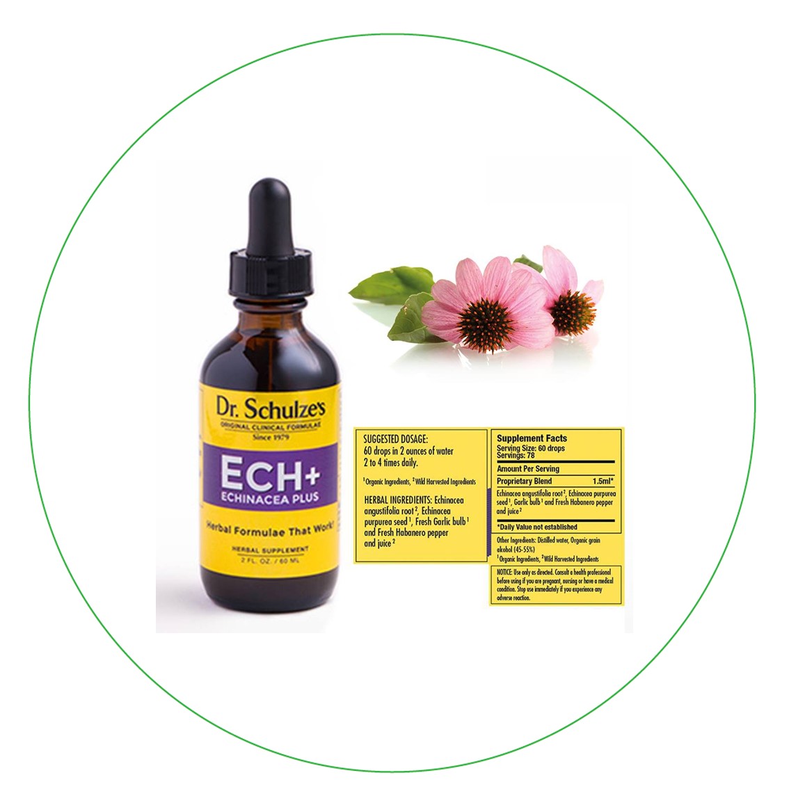 Dr Sch Ech+