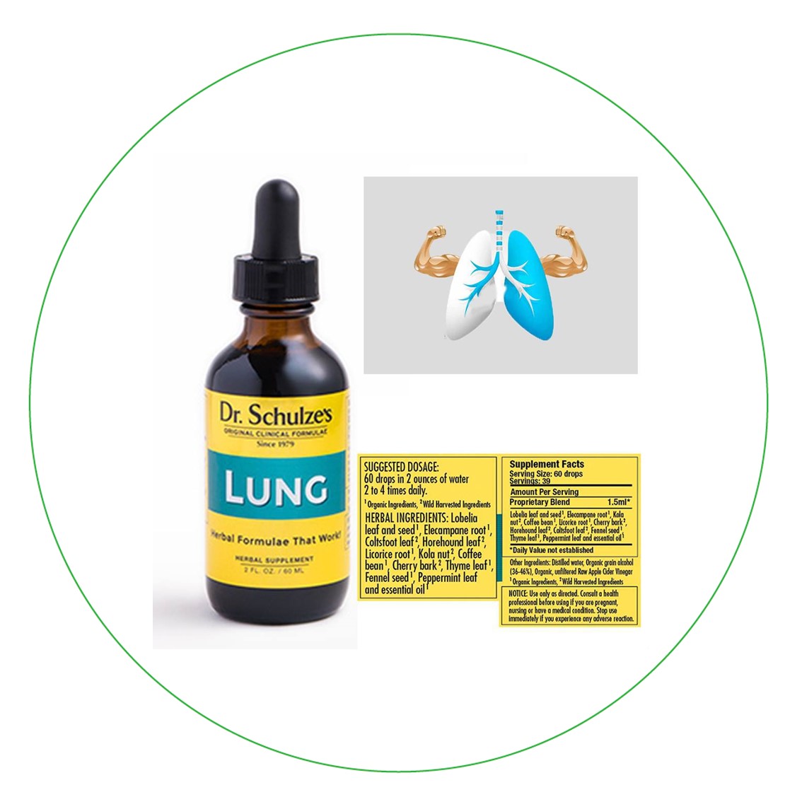 Dr Sch Lung